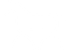 Elfab Horse